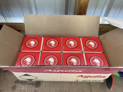 369687773 261488063378487 1888156175705078673 n